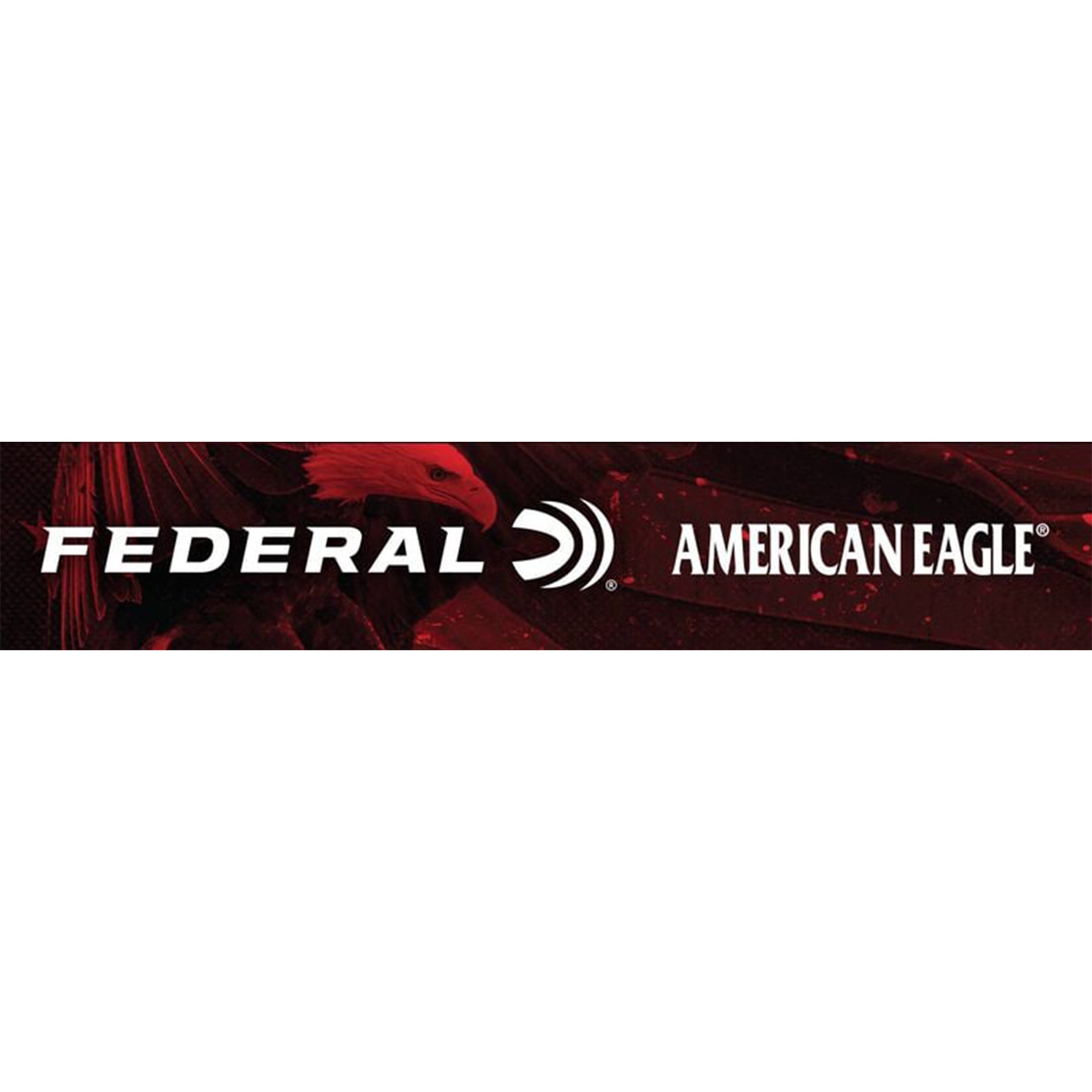 30-06 SPr 150gr FMJ American Eagle