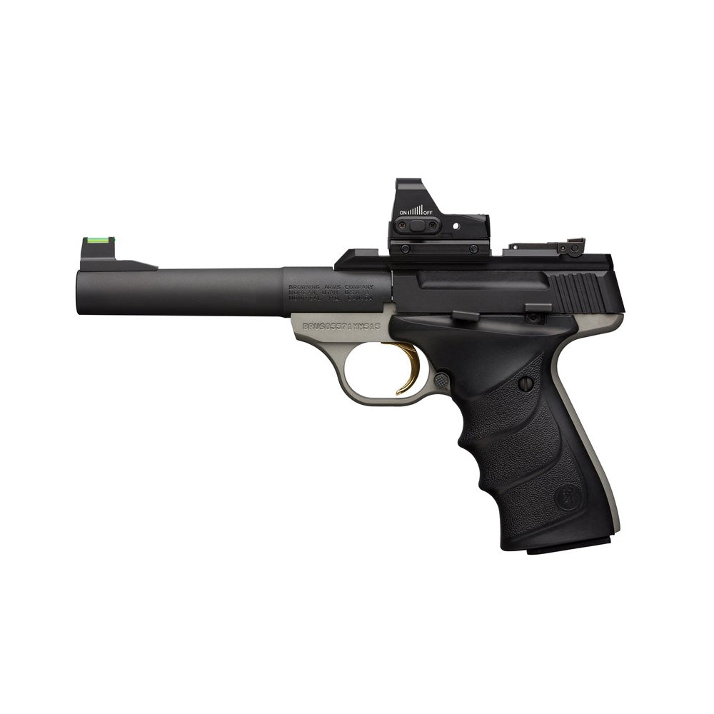 Buck Mark Target Practical