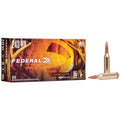 243 Win 95gr Fusion