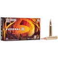 300 Win Mag 180gr Fusion