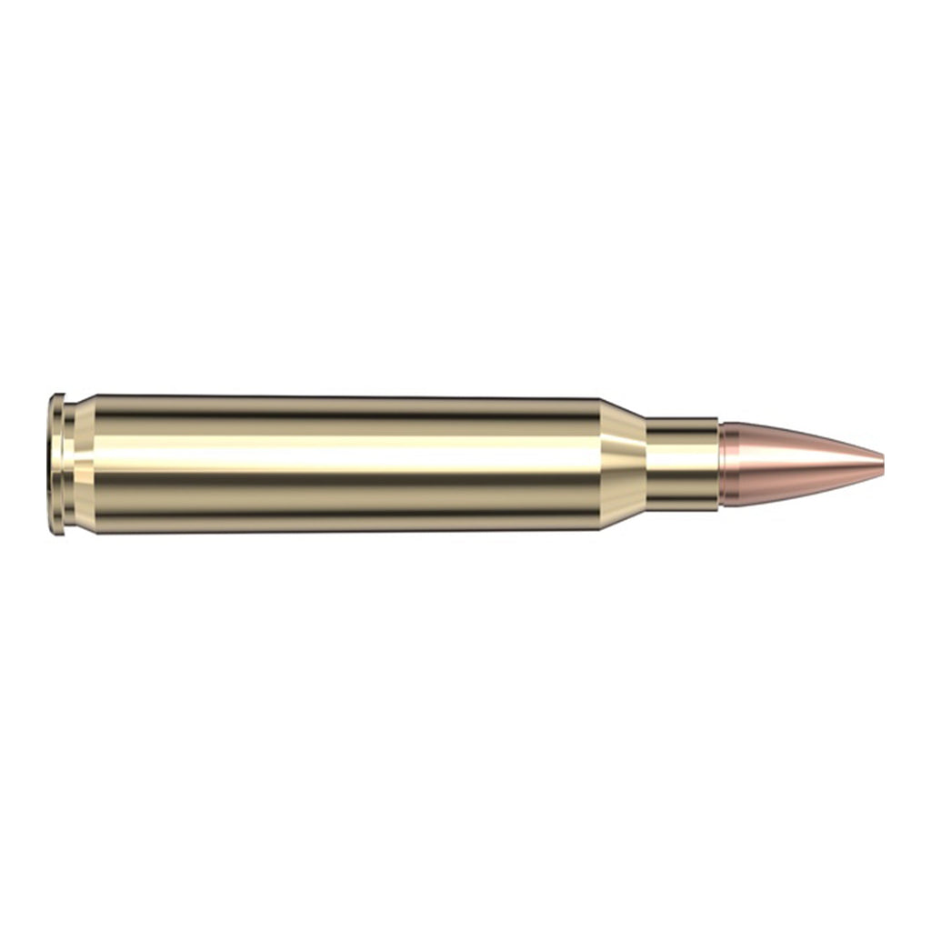 Frontier 223 Rem 55gr Hollow Point Match
