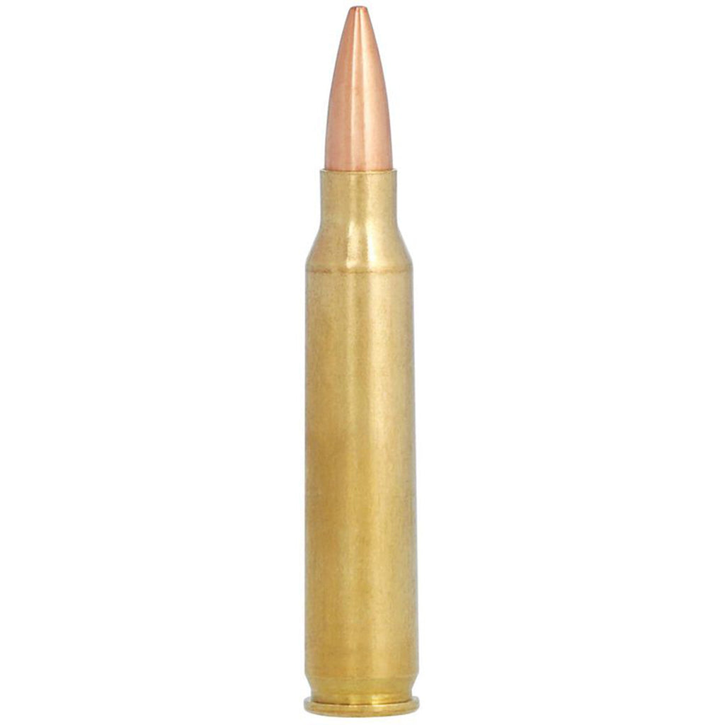 223 Rem 73gr Berger BTHP Gold Medal