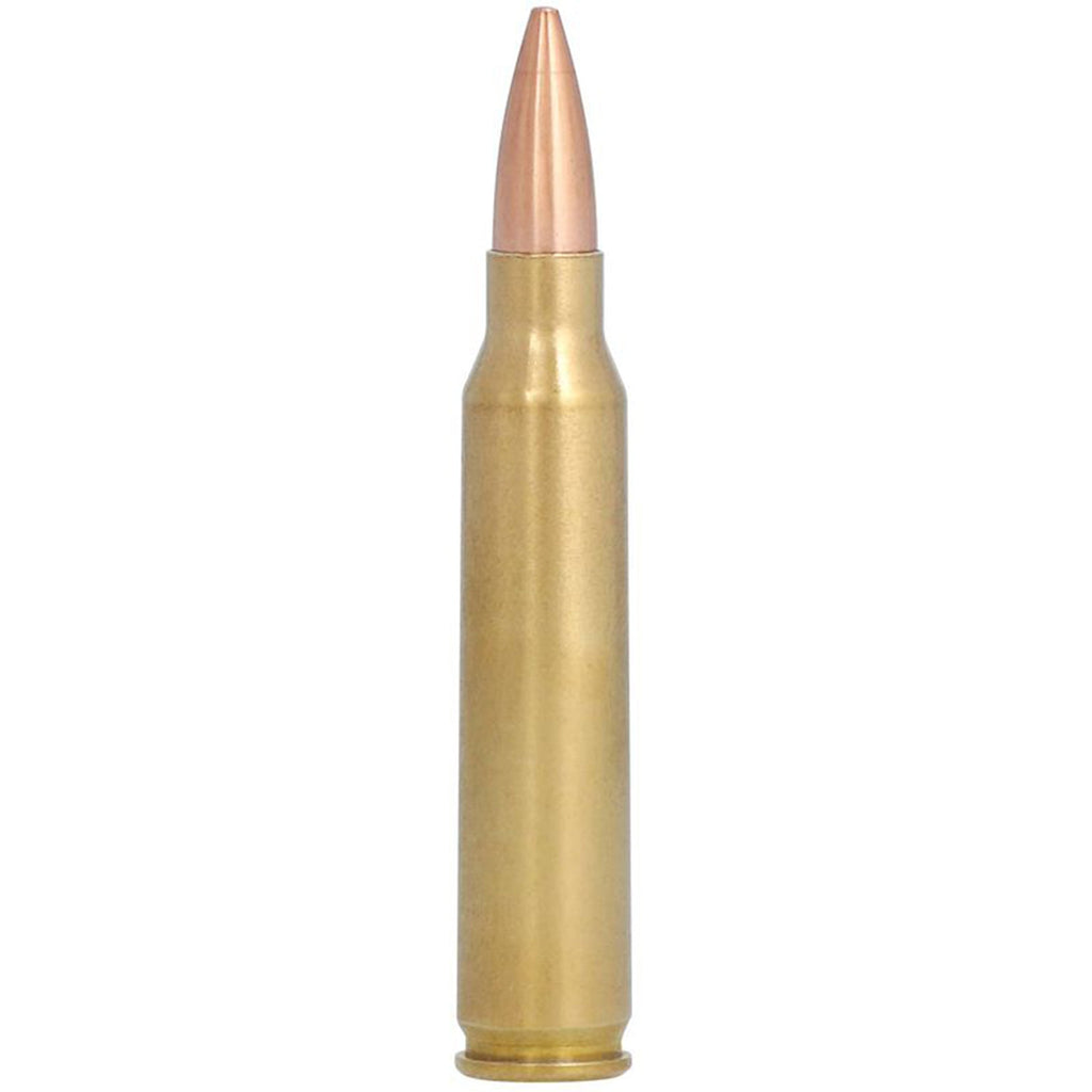 223 Rem 69gr Matchking Gold Medal
