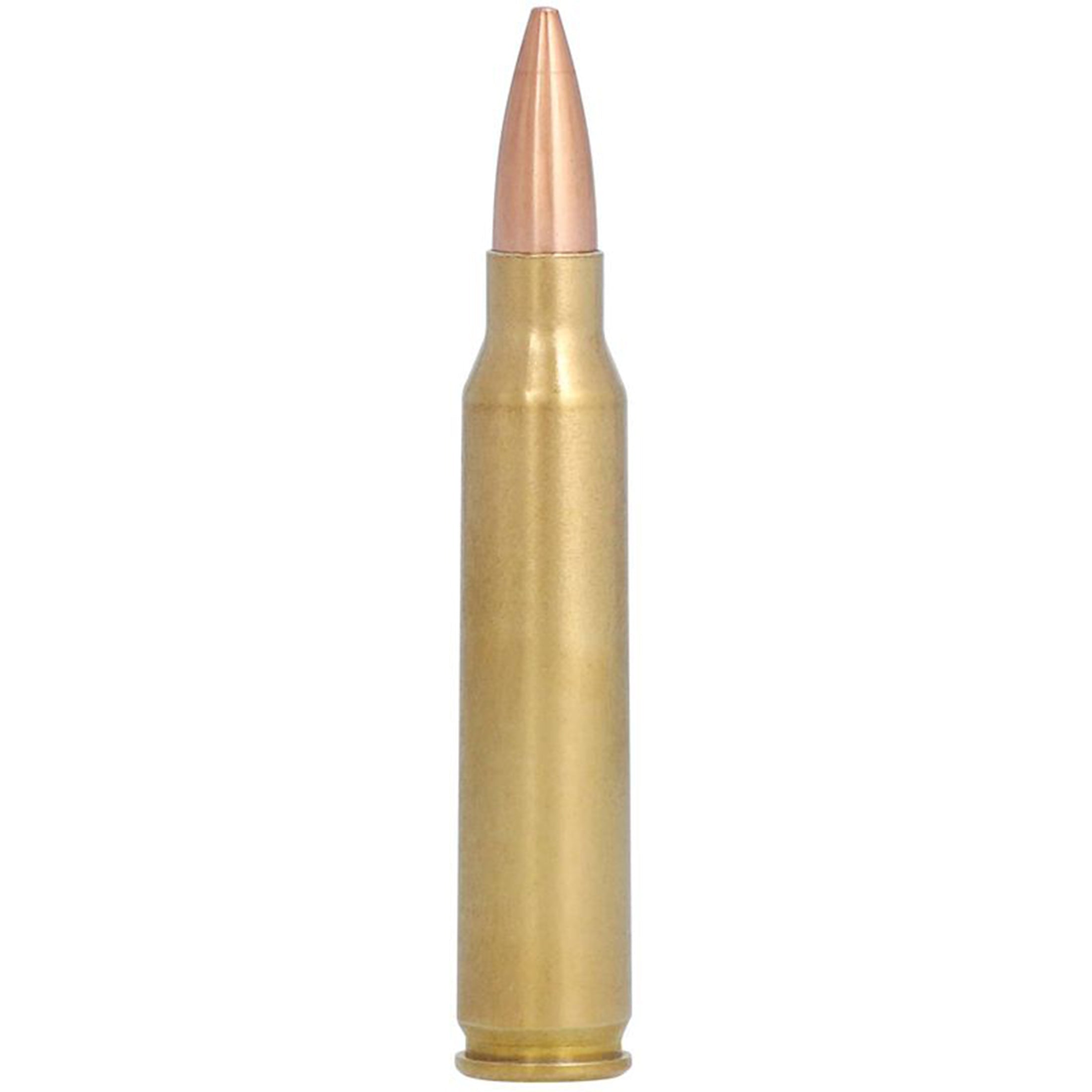 223 Rem 69gr Matchking Gold Medal
