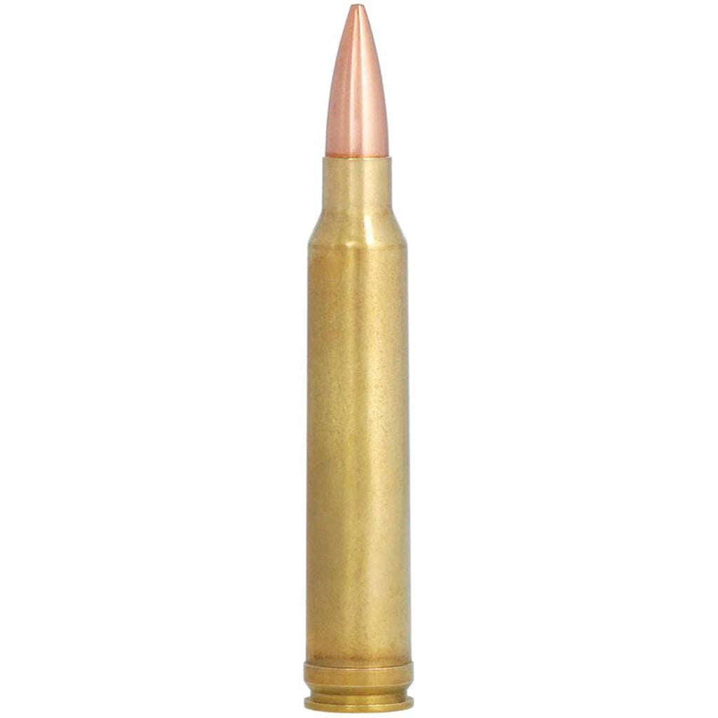 300 Win Mag 190gr Matchking Gold Medal