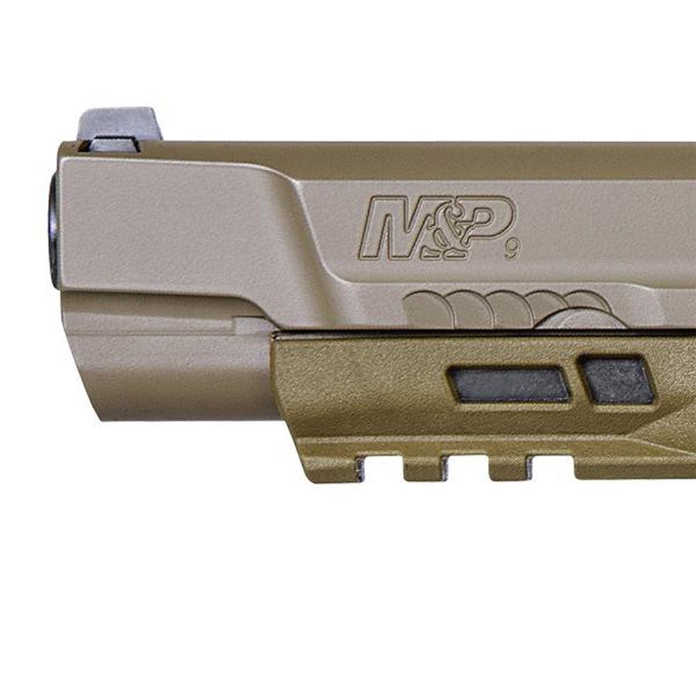 M&P 2.0 Dark Earth