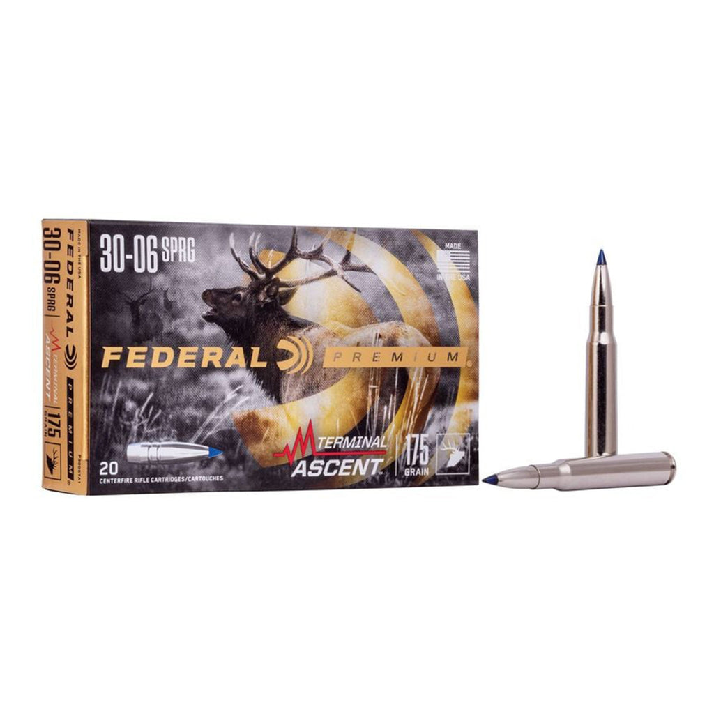 30-06 SPr 175gr Terminal Ascent