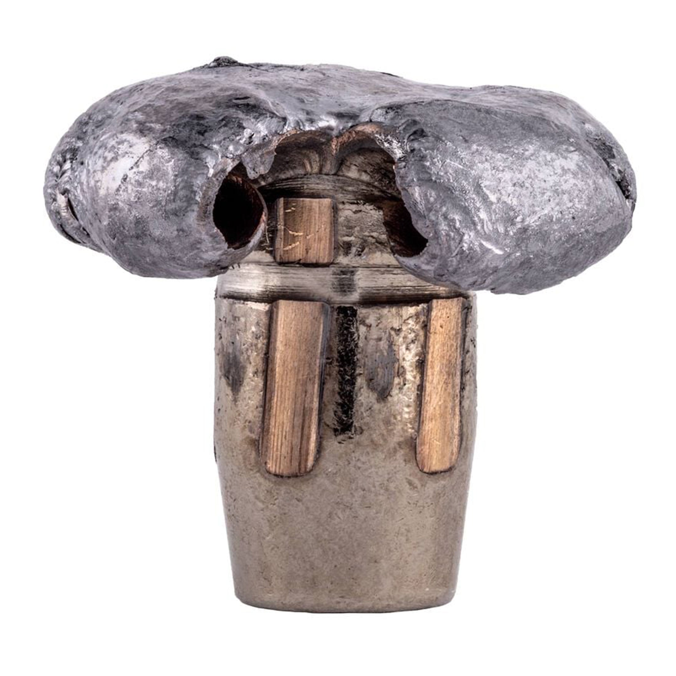 30-06 SPr 175gr Terminal Ascent