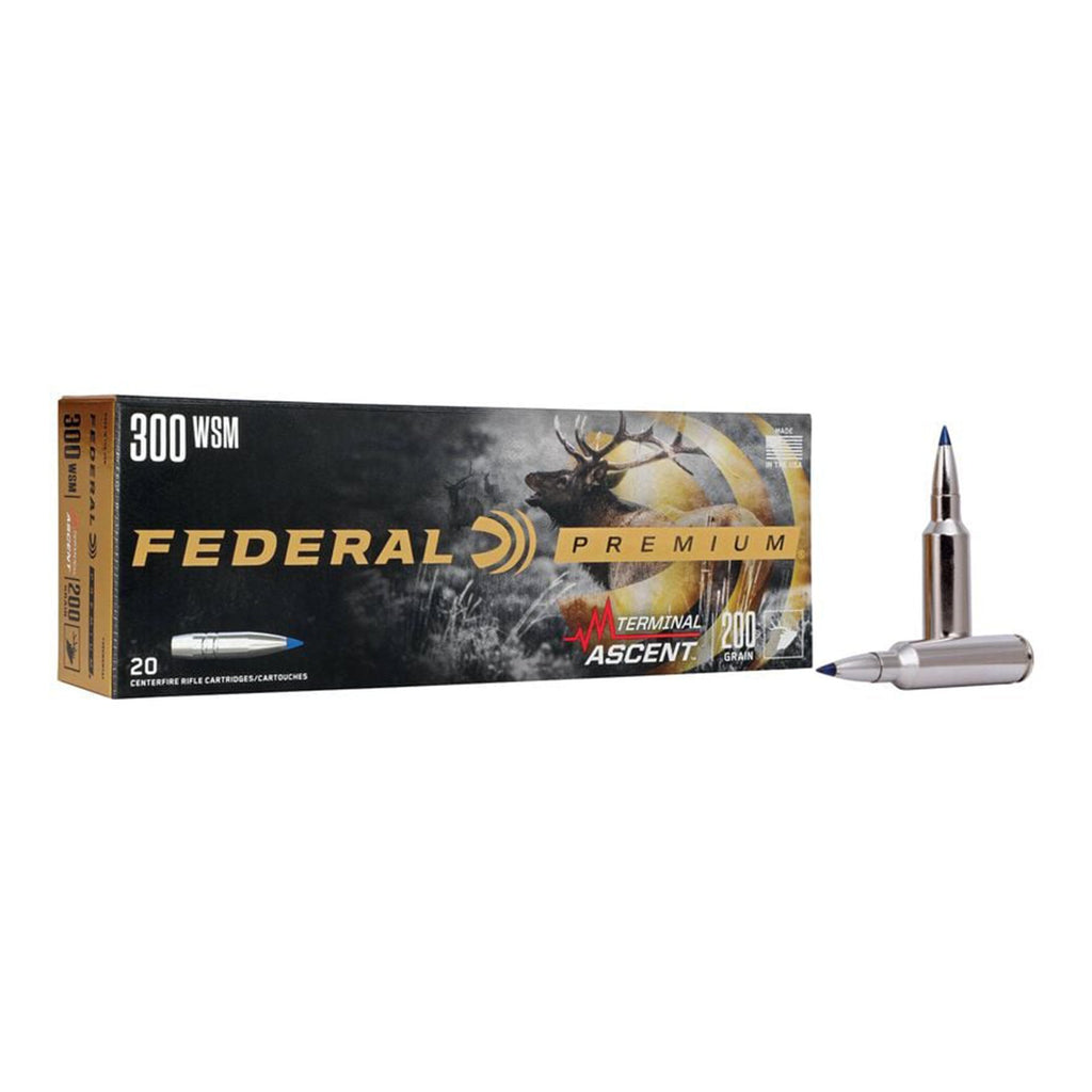 300 WSM 200gr Terminal Ascent