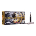 300 Win Mag 200gr Terminal Ascent