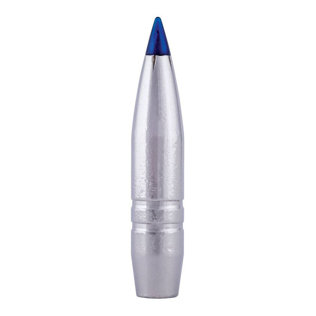 300 Win Mag 200gr Terminal Ascent