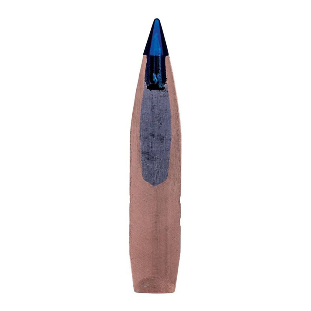 300 Win Mag 200gr Terminal Ascent