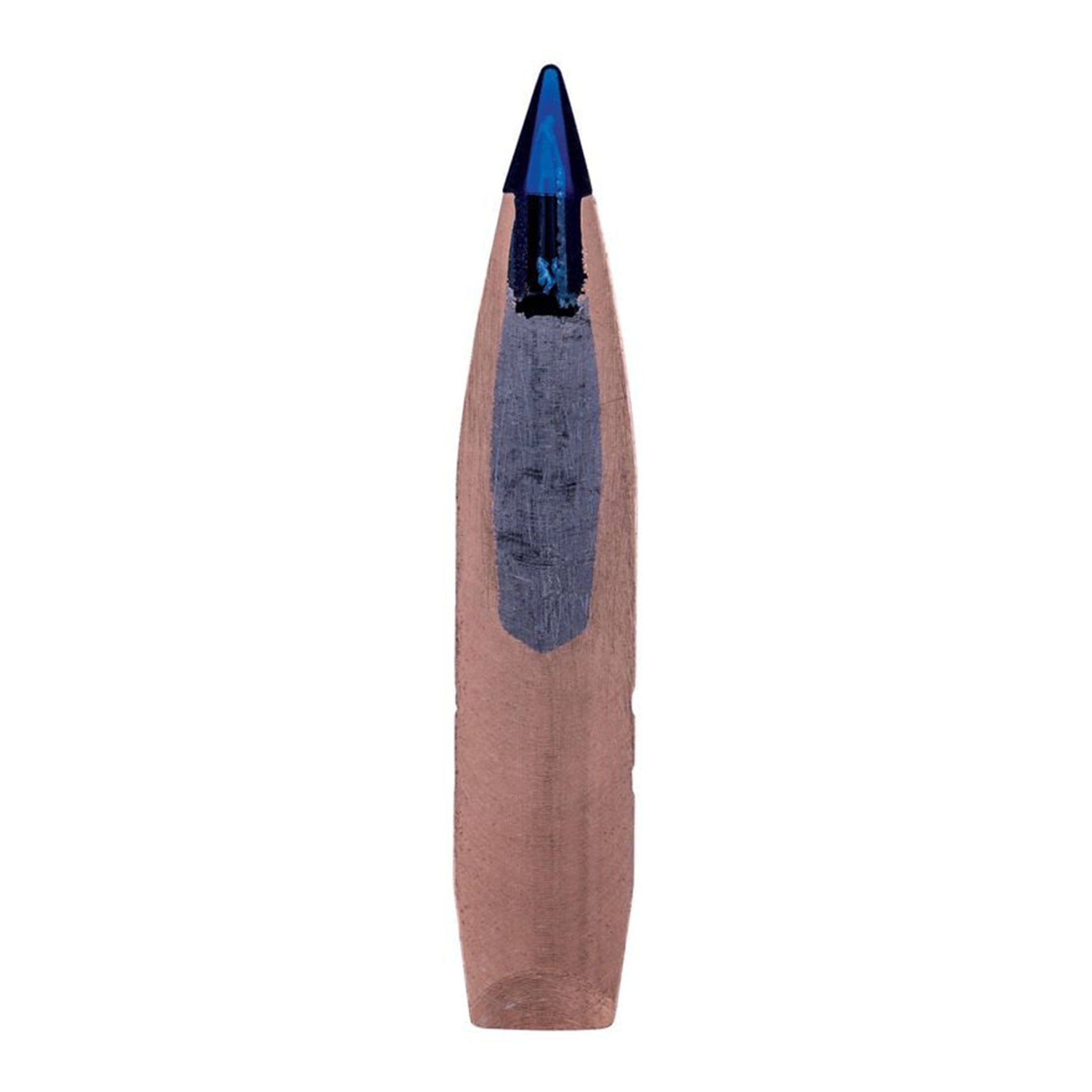 300 Win Mag 200gr Terminal Ascent