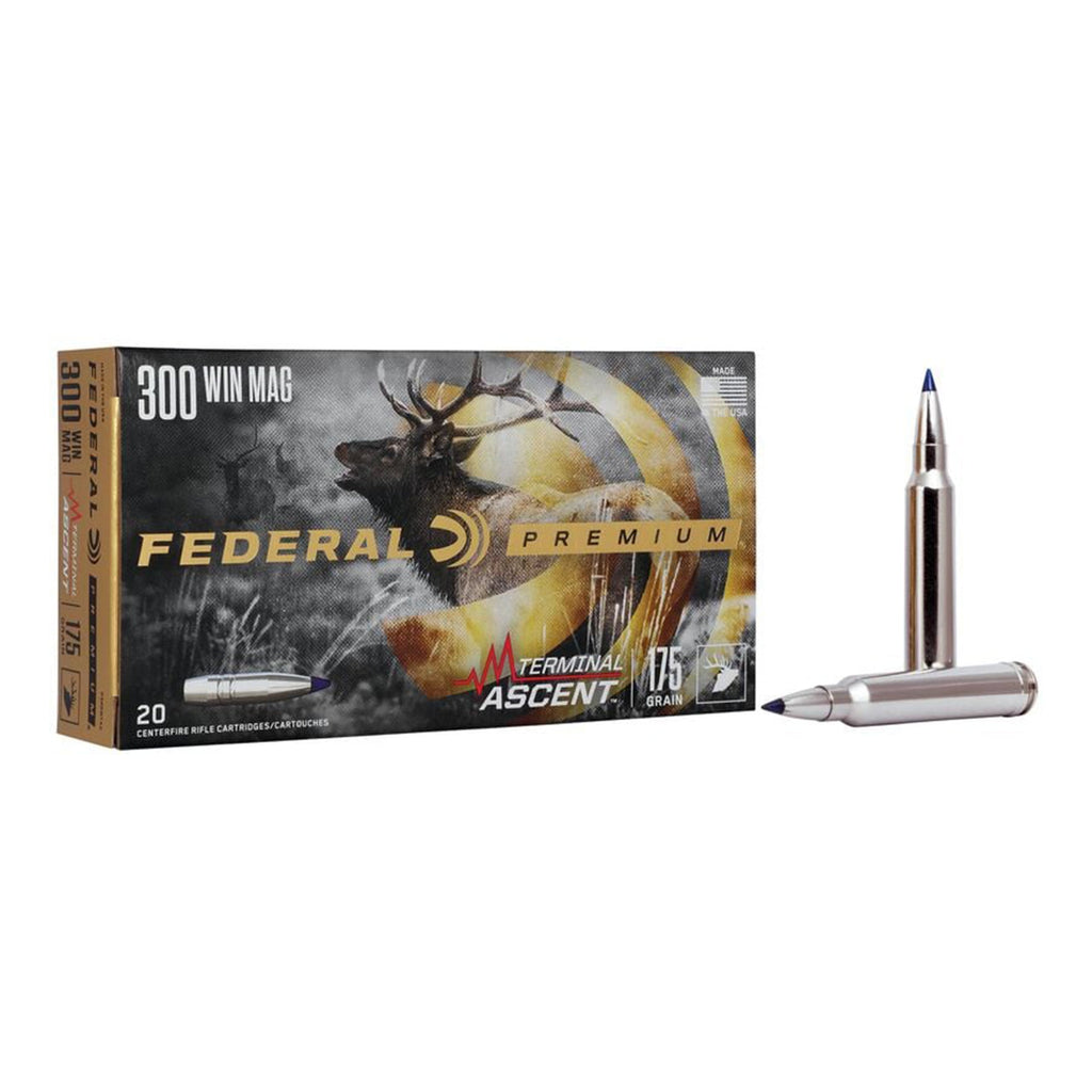300 Win Mag 175gr Terminal Ascent