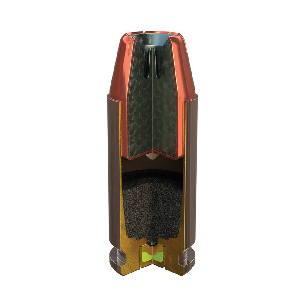 40 S&W 165gr Hydra-Shok Pd