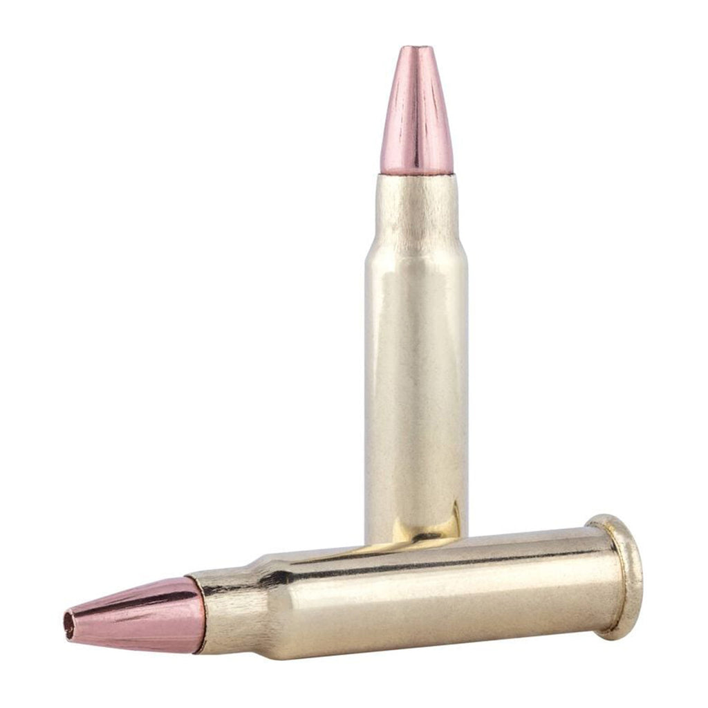 17 HMR 17gr TNT