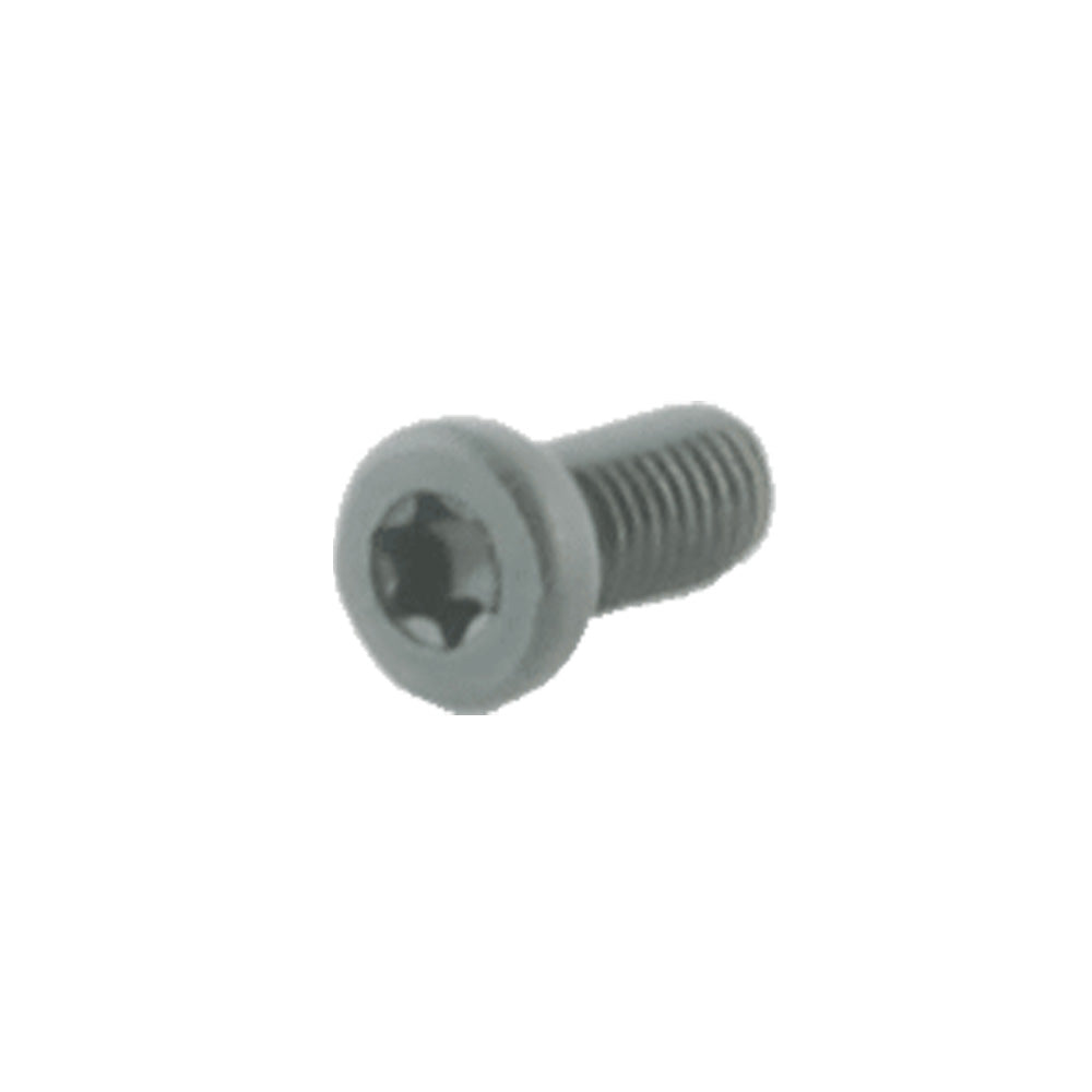Spuhr Sauer Recoil Screw (Pack of 2 Screws)
