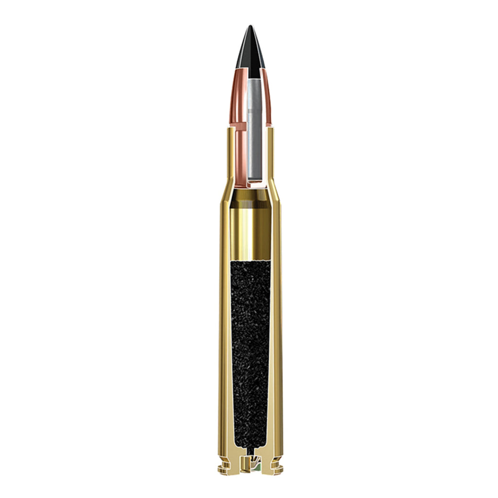 Varmint X 22-250Rem 55gr PT