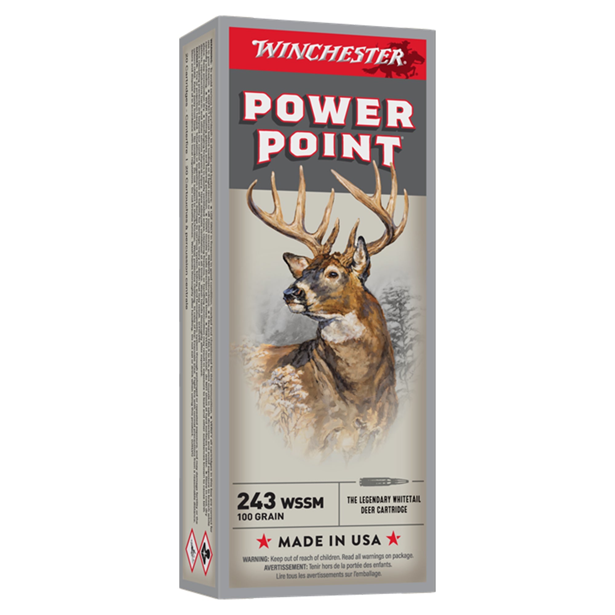 Power Point 243WSSM 100gr PP